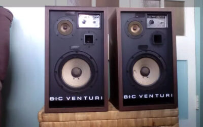 Bic Venturi Speakers